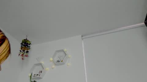 Snapshot of saray2312 chatting on January 16, 2026, 11:31 pm Saray online show from January 16, 2026, 11:31 pm