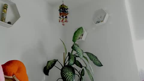 Snapshot of saray2312 chatting on February 2, 2026, 9:24 pm Saray online show from February 2, 2026, 9:24 pm