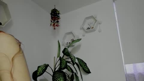 Snapshot of saray2312 chatting on February 5, 2026, 11:20 pm Saray online show from February 5, 2026, 11:20 pm