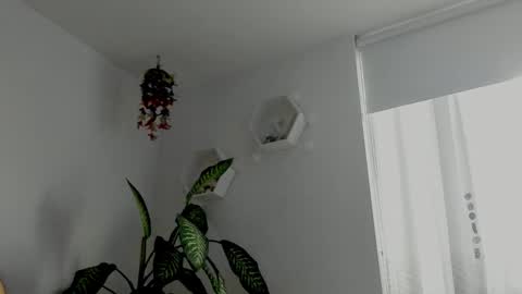 Snapshot of saray2312 chatting on February 6, 2026, 10:46 pm Saray online show from February 6, 2026, 10:46 pm