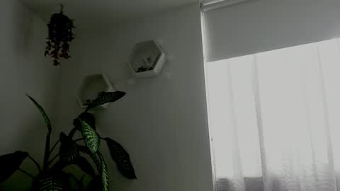 Snapshot of saray2312 chatting on February 9, 2026, 9:41 pm Saray online show from February 9, 2026, 9:41 pm