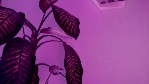 Snapshot of saray2312 chatting on March 24, 2026, 4:17 am Saray online show from March 24, 2026, 4:17 am