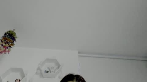 Snapshot of saray2312 chatting on April 24, 2026, 11:29 pm Saray online show from April 24, 2026, 11:29 pm