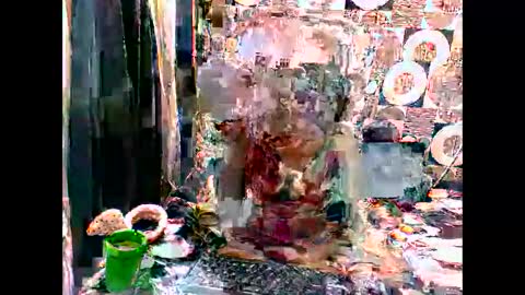 sassyindian01 online show from October 16, 2025, 6:14 am