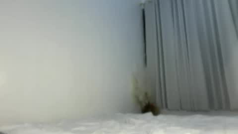Snapshot of sassykayla chatting on May 15, 2026, 1:07 pm sassykayla online show from May 15, 2026, 1:07 pm