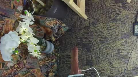 sassylatin45 online show from March 2, 2025, 1:47 am