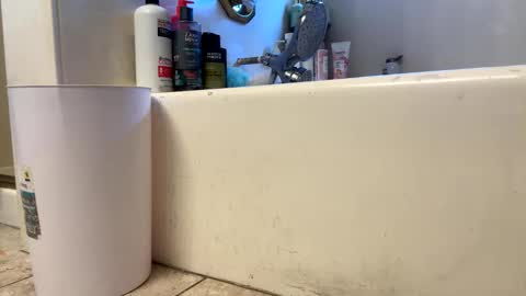 ElVergone online show from March 1, 2026, 11:40 pm