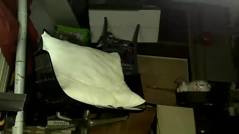 Sbamx online show from December 17, 2024, 5:29 am