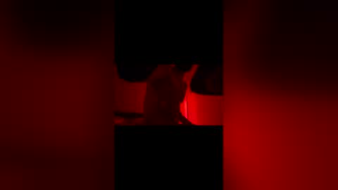 sbsesh online show from February 14, 2026, 12:02 pm