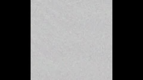 Venus online show from November 23, 2025, 2:50 pm