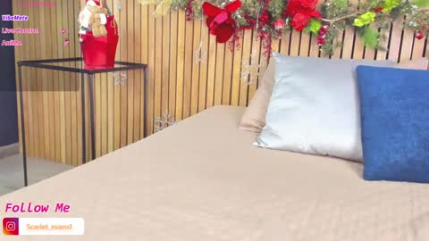 Snapshot of scarlet_evans1 chatting on January 4, 2025, 8:59 pm Maria online show from January 4, 2025, 8:59 pm