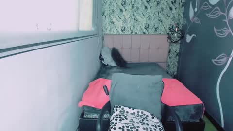 S C A R L E T online show from January 15, 2025, 11:53 am