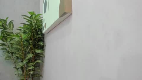 Scarlett 3 online show from December 2, 2025, 3:12 am