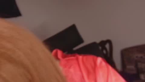 scarlet online show from February 23, 2026, 1:19 pm