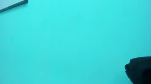scarlett_fox20 online show from May 13, 2026, 1:30 pm