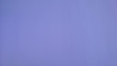 Scarlett  online show from April 23, 2026, 1:35 pm