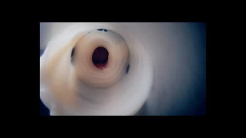 Scarr online show from February 2, 2026, 2:38 pm