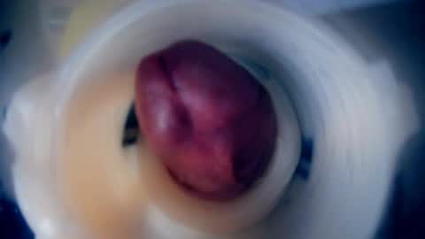 Scarr online show from February 9, 2026, 12:20 pm