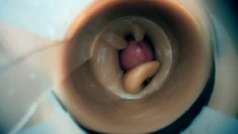 Scarr online show from March 1, 2026, 8:00 pm