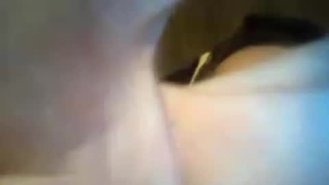 scooterlynn911 online show from June 21, 2026, 2:41 pm