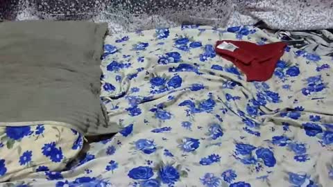 Its Lilly online show from January 25, 2025, 3:09 am