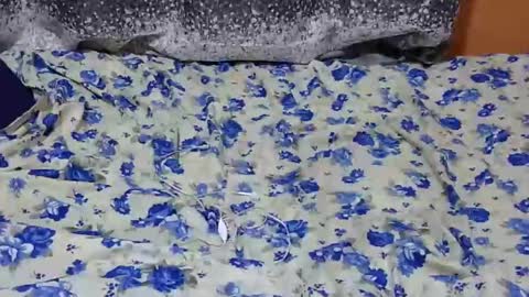 Its Lilly online show from January 27, 2025, 7:03 pm