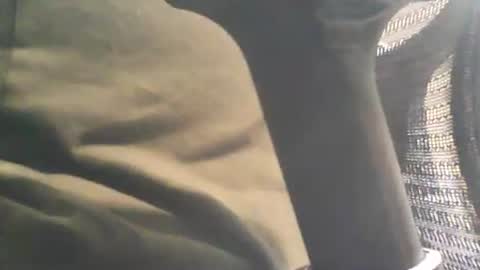 scottie813 online show from October 26, 2025, 3:07 pm