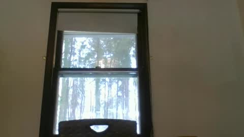 scottpbi52 online show from February 15, 2025, 5:28 pm