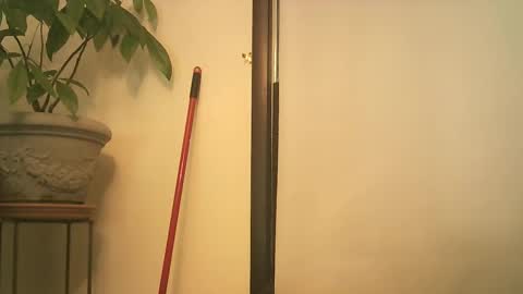 scottpbi52 online show from September 25, 2025, 8:34 pm