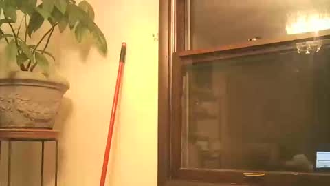 scottpbi52 online show from September 28, 2025, 3:45 am