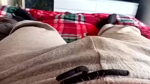 scotycar0408 online show from March 17, 2026, 10:18 am