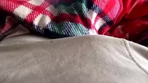 scotycar0408 online show from March 20, 2026, 8:08 am