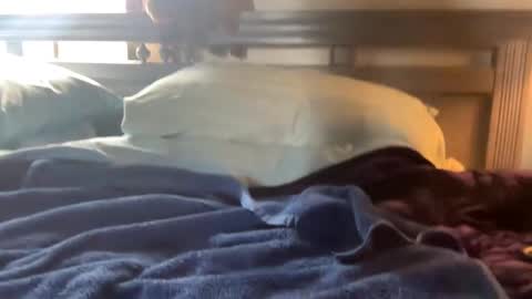 Snapshot of seaboy78 chatting on December 15, 2024, 6:26 pm Skylar87 online show from December 15, 2024, 6:26 pm