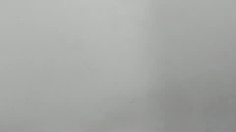 sebatian palacios online show from December 2, 2024, 3:26 am