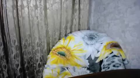 Snapshot of secretcandy222 chatting on March 1, 2025, 2:44 pm secretcandy222 online show from March 1, 2025, 2:44 pm