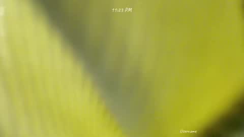 Snapshot of seduce_me_oldman chatting on March 9, 2026, 3:16 pm seduce_me_oldman online show from March 9, 2026, 3:16 pm
