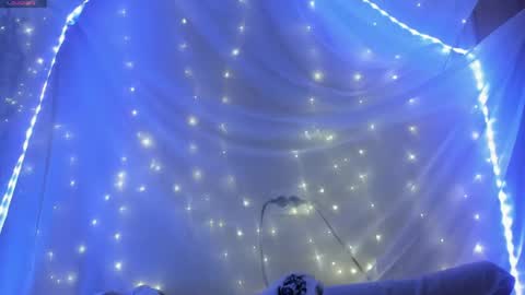 seductive_she_wolf online show from May 26, 2026, 12:12 pm