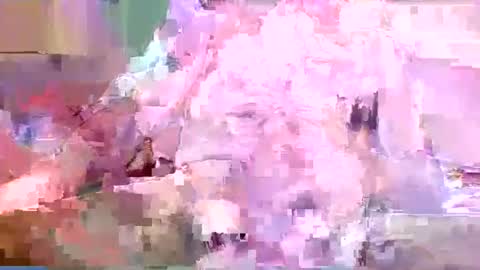 seekinghost online show from May 17, 2026, 1:25 am