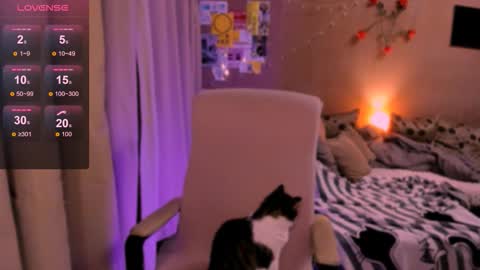 selectrra online show from February 18, 2026, 4:58 pm