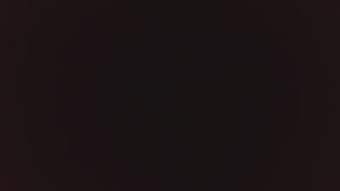 Selena  Andress online show from January 26, 2025, 2:08 pm