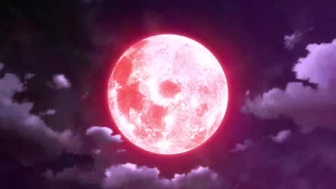 Selene G  online show from March 26, 2026, 2:17 am