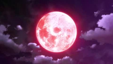 Selene G  online show from April 8, 2026, 3:17 am