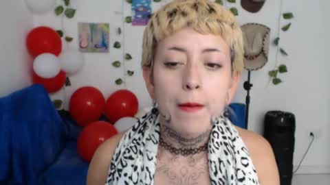 Snapshot of seley222 chatting on May 11, 2026, 4:04 pm Ask me online show from May 11, 2026, 4:04 pm