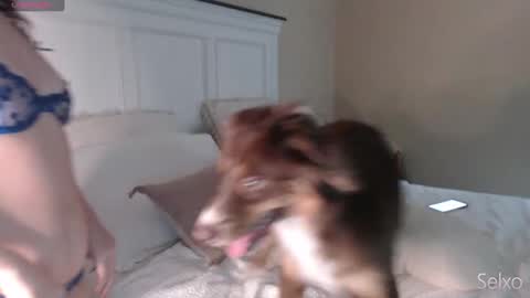 Snapshot of selxo chatting on September 23, 2025, 1:03 pm Sel online show from September 23, 2025, 1:03 pm