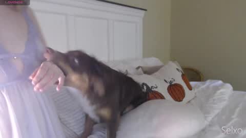 Snapshot of selxo chatting on October 20, 2025, 1:33 pm Sel online show from October 20, 2025, 1:33 pm