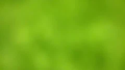 Snapshot of sens3439 chatting on November 24, 2025, 8:36 am sens3439 online show from November 24, 2025, 8:36 am