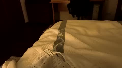 Snapshot of sevenorder chatting on January 20, 2025, 5:04 am sevenorder online show from January 20, 2025, 5:04 am