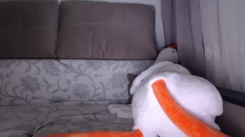 See you on October  going to miss you guys incredibly. Subscribe to my  Onlyfans  Channel to follow the news online show from October 1, 2025, 5:13 am