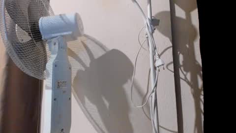 Alice online show from September 20, 2025, 11:06 pm