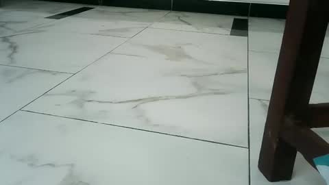 sexy_cocoh1_ online show from June 10, 2026, 12:37 pm